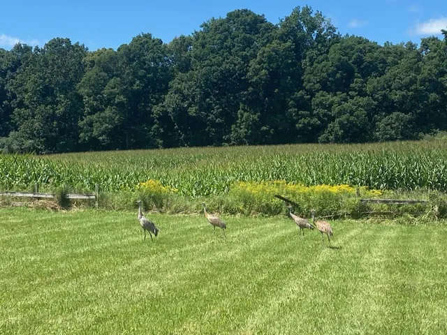 $1,600,000 | 5300 Belford Road, Holly, MI 48442