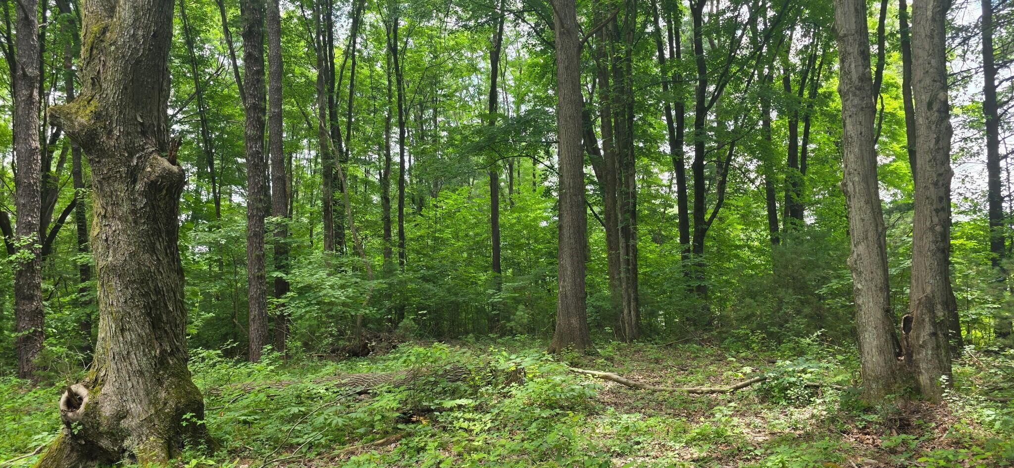 2709 Arter Road Southwest Lancaster, OH 43130 - Photo 29 of 39