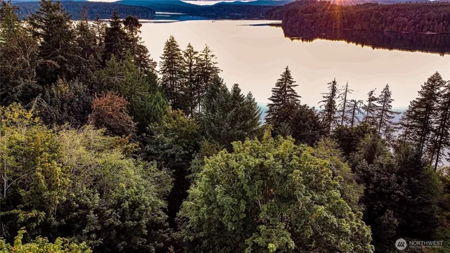 a view of a lake with a mountain in the background