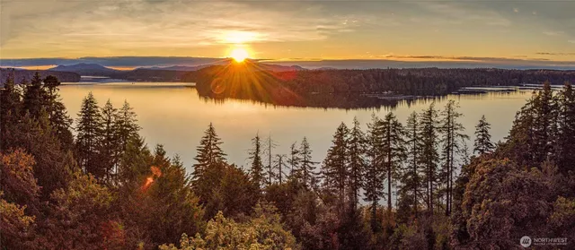 a view of a lake with a city