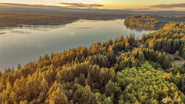 a view of a yard with plants