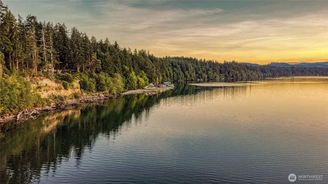 a view of a yard with plants