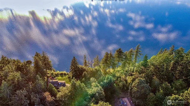a view of street with lots of trees