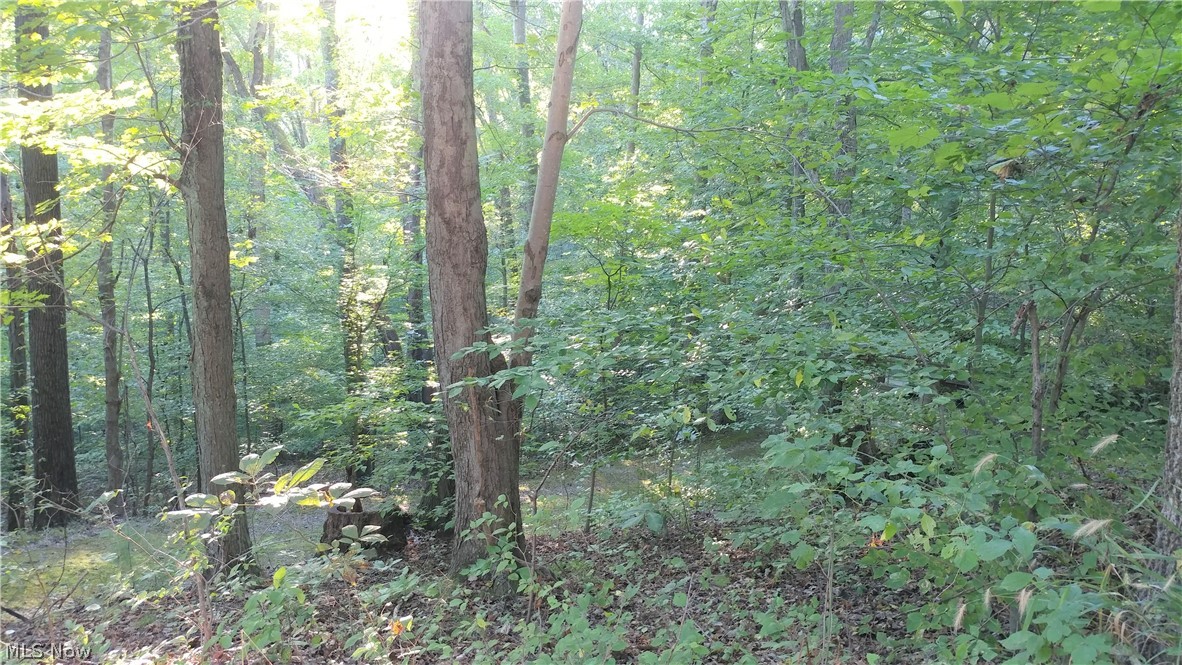11565 Ruby Road Cambridge, OH 43725 - Photo 1 of 1