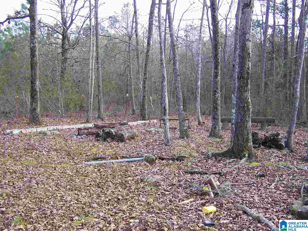 250 Jones Chapel Loop Springville, AL 35146 - Photo 14 of 19