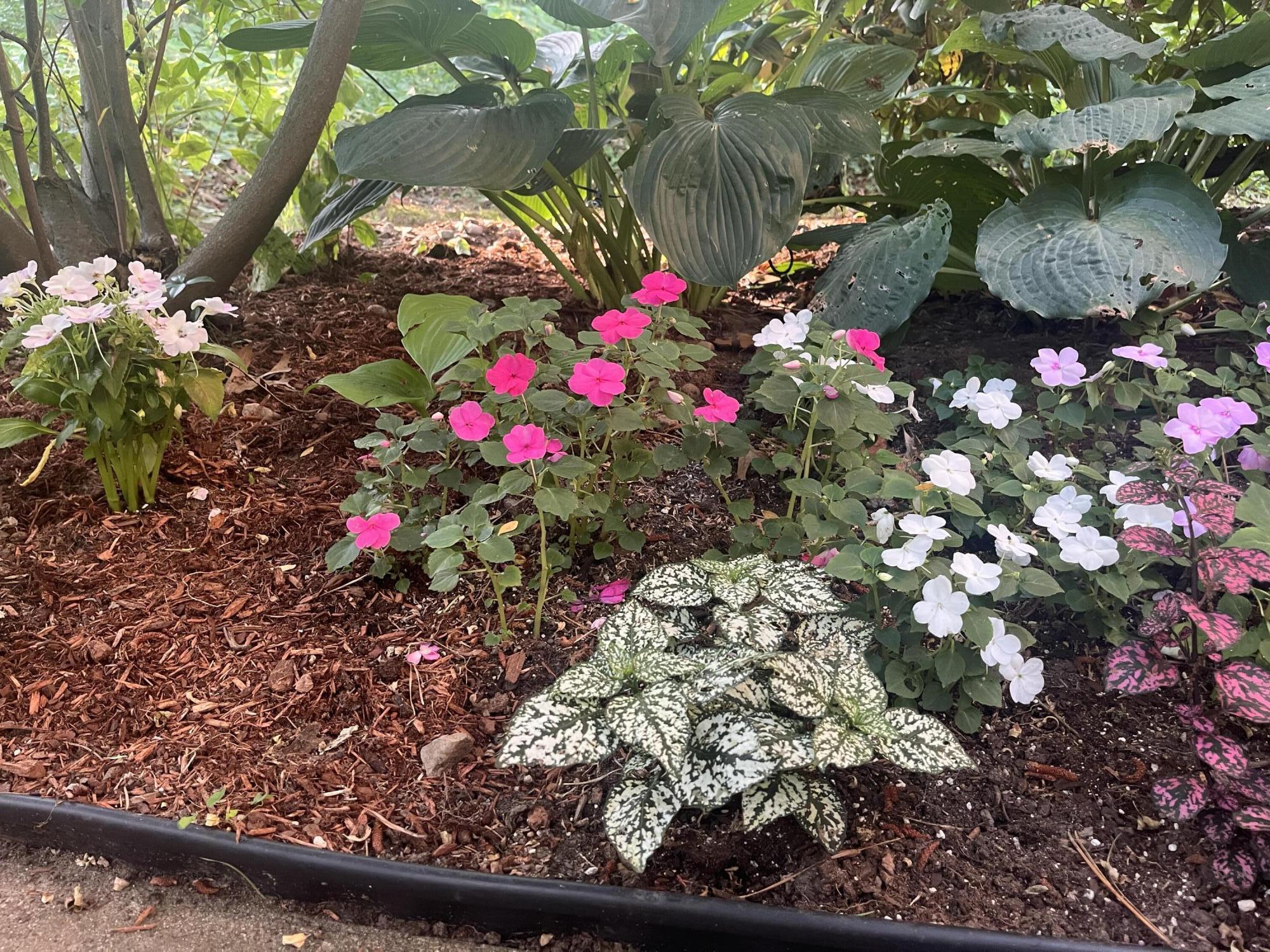 34 Erics Way, Unit G 7 Wellfleet, MA 02667 - Photo 22 of 24 a view of a flower