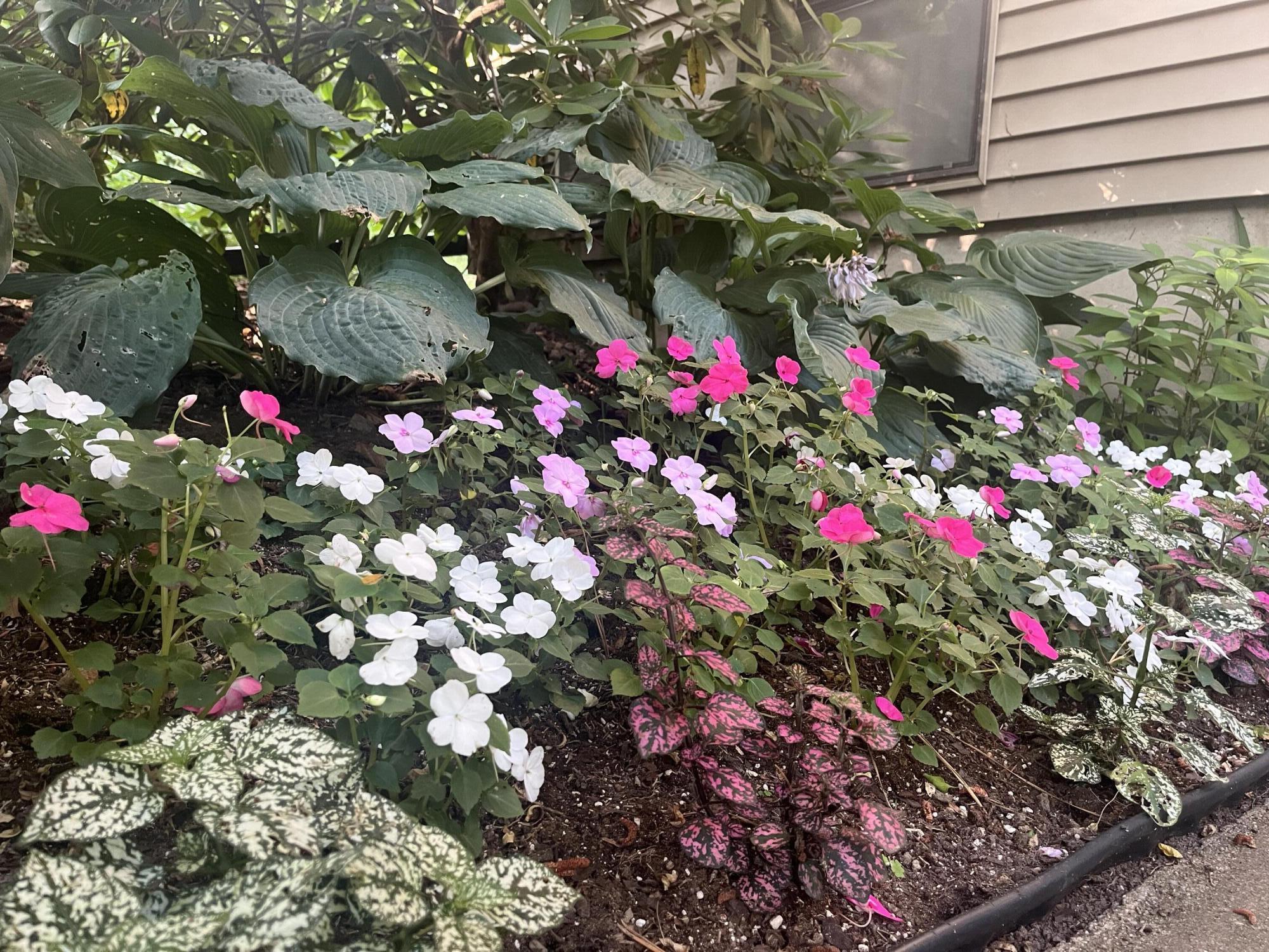 34 Erics Way, Unit G 7 Wellfleet, MA 02667 - Photo 24 of 24 a flower view