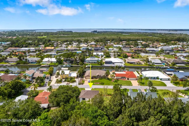 a car parked in front of a tree