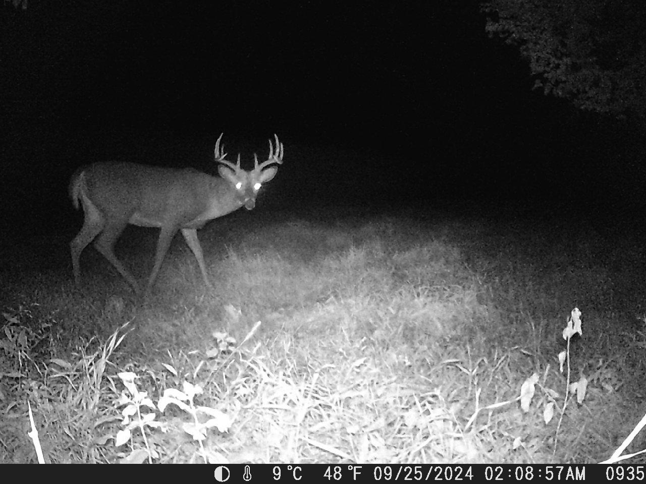 Tbd Deer Road Canton, MN 55922 - Photo 10 of 18 Gallery Image 10