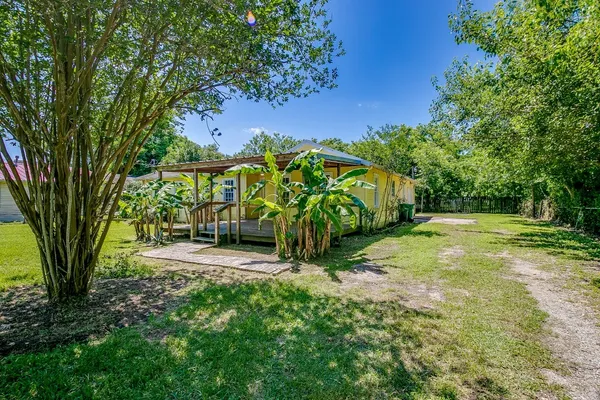 a view of a garden with a tree