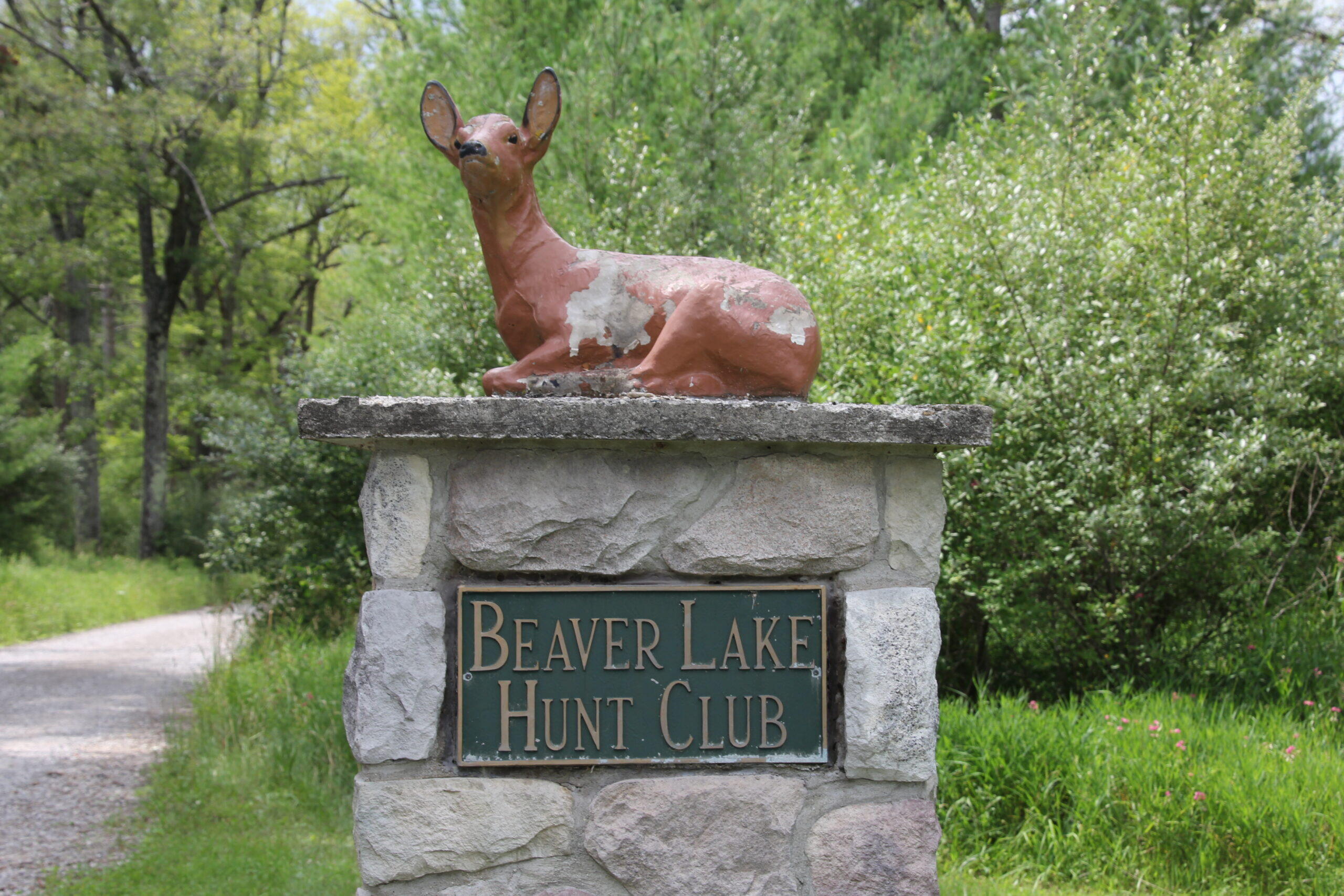 121 Beaver Creek Road Lachine, MI 49753 - Photo 30 of 38 Gallery Image 30