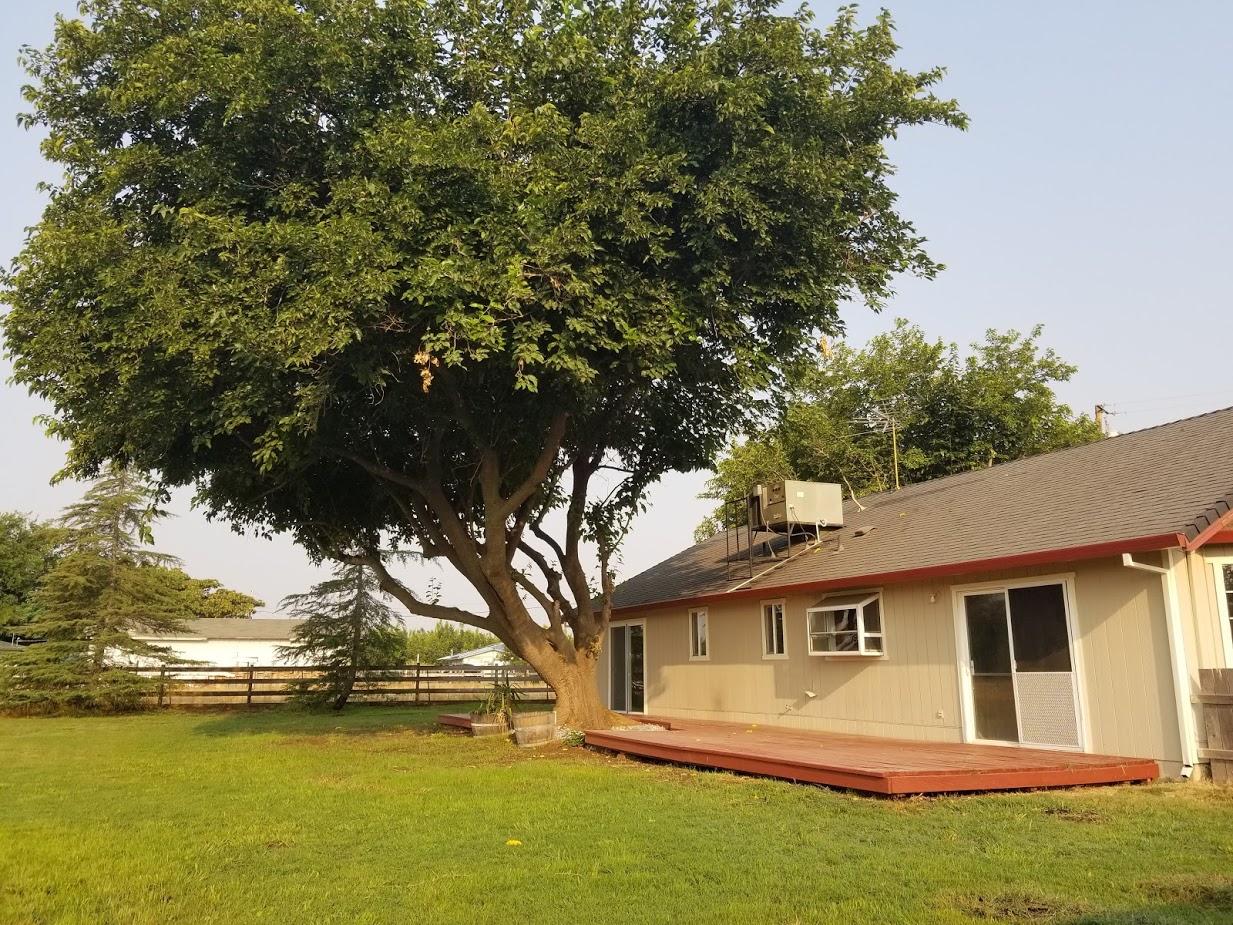 23135 Kindlespire Road Proberta, CA 96078 - Photo 33 of 33 a view of a white house next to a yard with a big yard and large trees