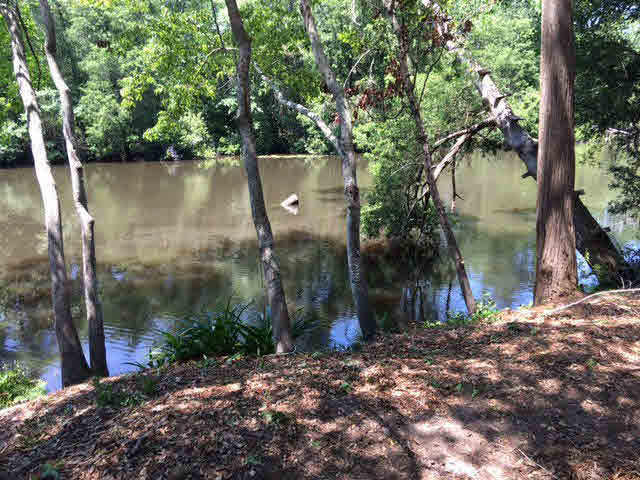 34303 Lost River Road Seminole, AL 36574 - Photo 11 of 31