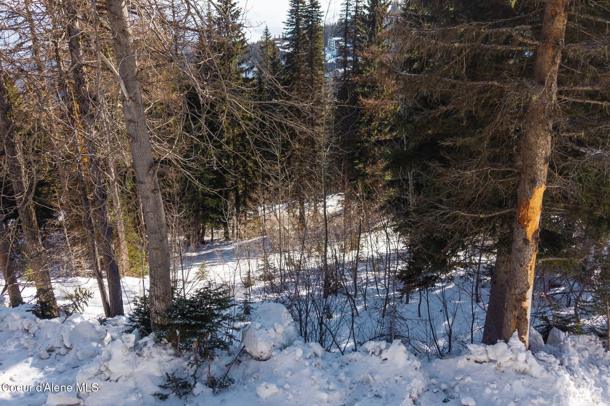 Nna Mogul Hill Road Sandpoint, ID 83864 - Photo 13 of 18 009