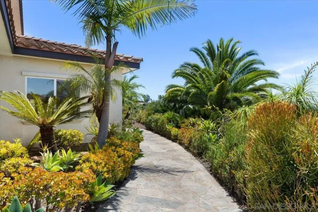 a view of a plant with a plant