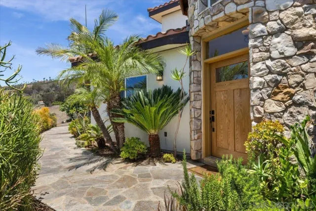 a plant is in front of a house