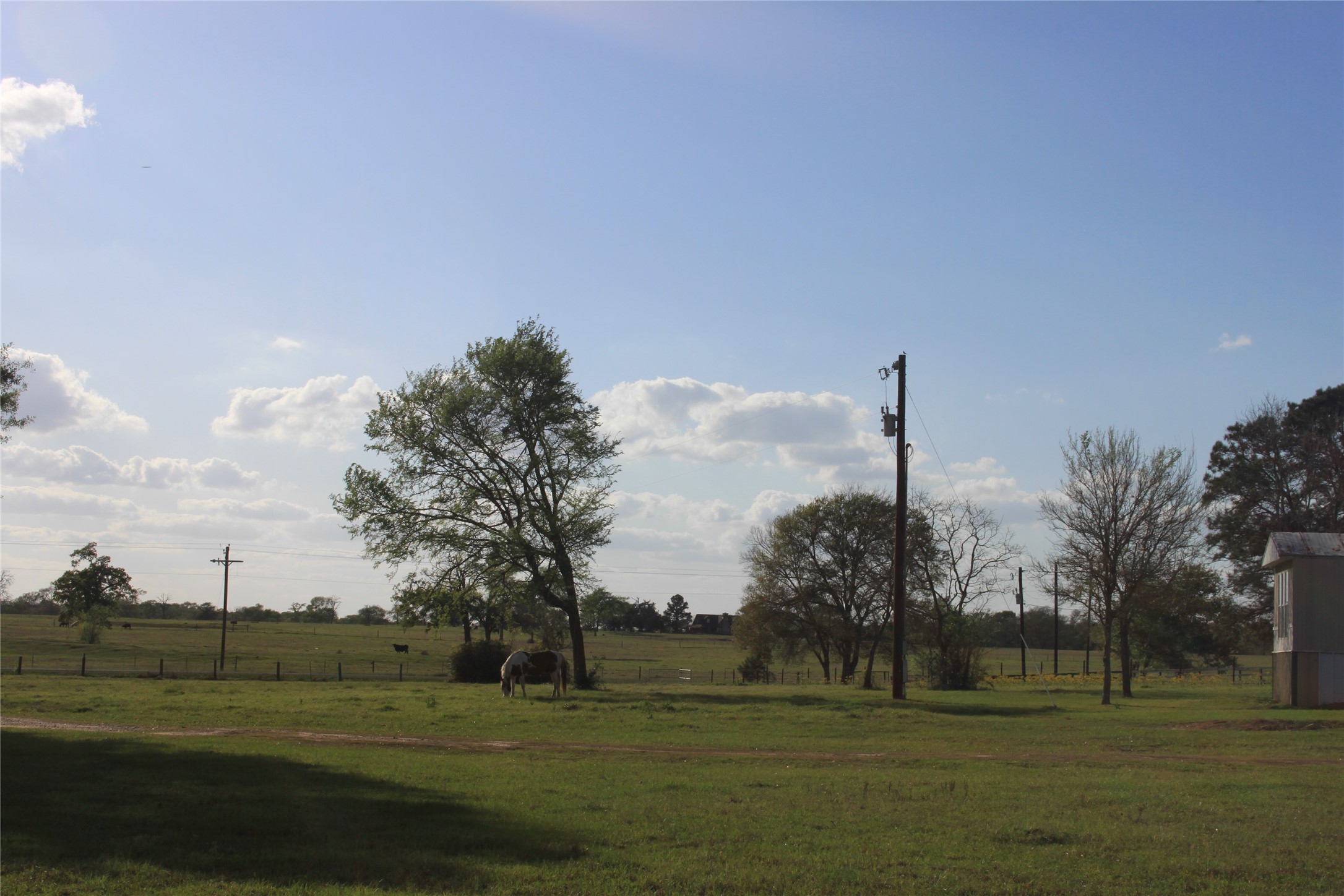 27134 Muckelroy Road Hempstead, TX 77445 - Photo 5 of 9