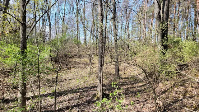 $199,900 | 2180 Harwood Road, Ionia, MI 48846