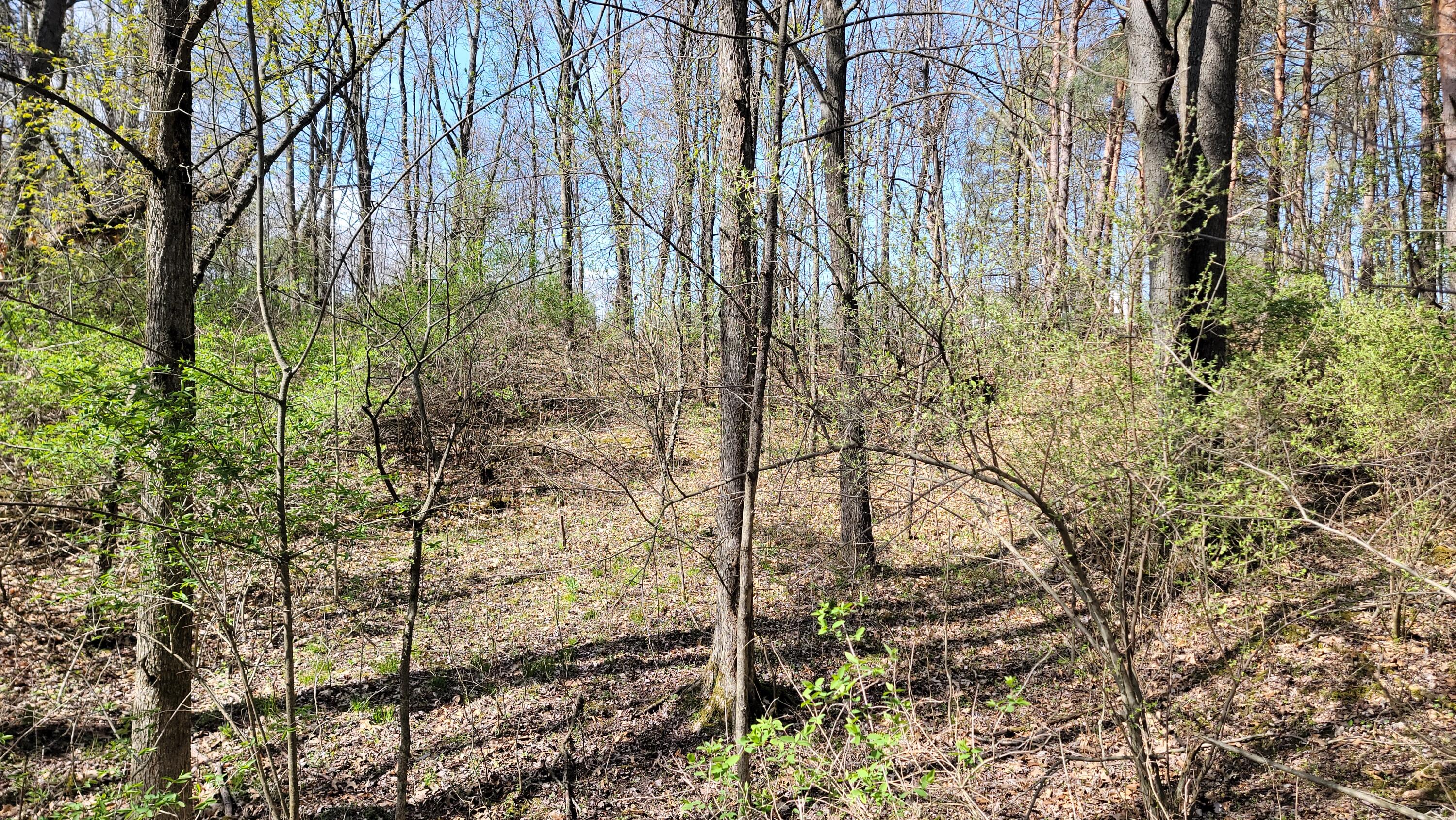 2180 Harwood Road Ionia, MI 48846 - Photo 12 of 27 20250427_162847