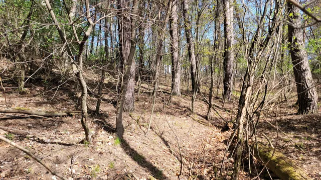 $199,900 | 2180 Harwood Road, Ionia, MI 48846