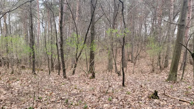 $199,900 | 2180 Harwood Road, Ionia, MI 48846