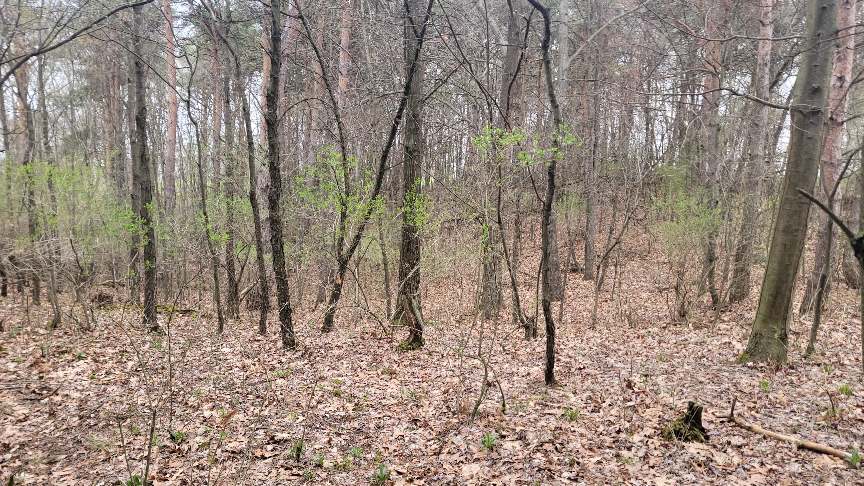 2180 Harwood Road Ionia, MI 48846 - Photo 14 of 27 20250421_170407