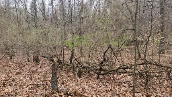 $199,900 | 2180 Harwood Road, Ionia, MI 48846