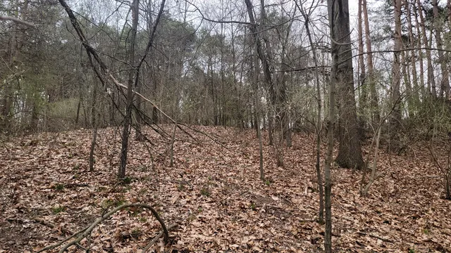 $199,900 | 2180 Harwood Road, Ionia, MI 48846