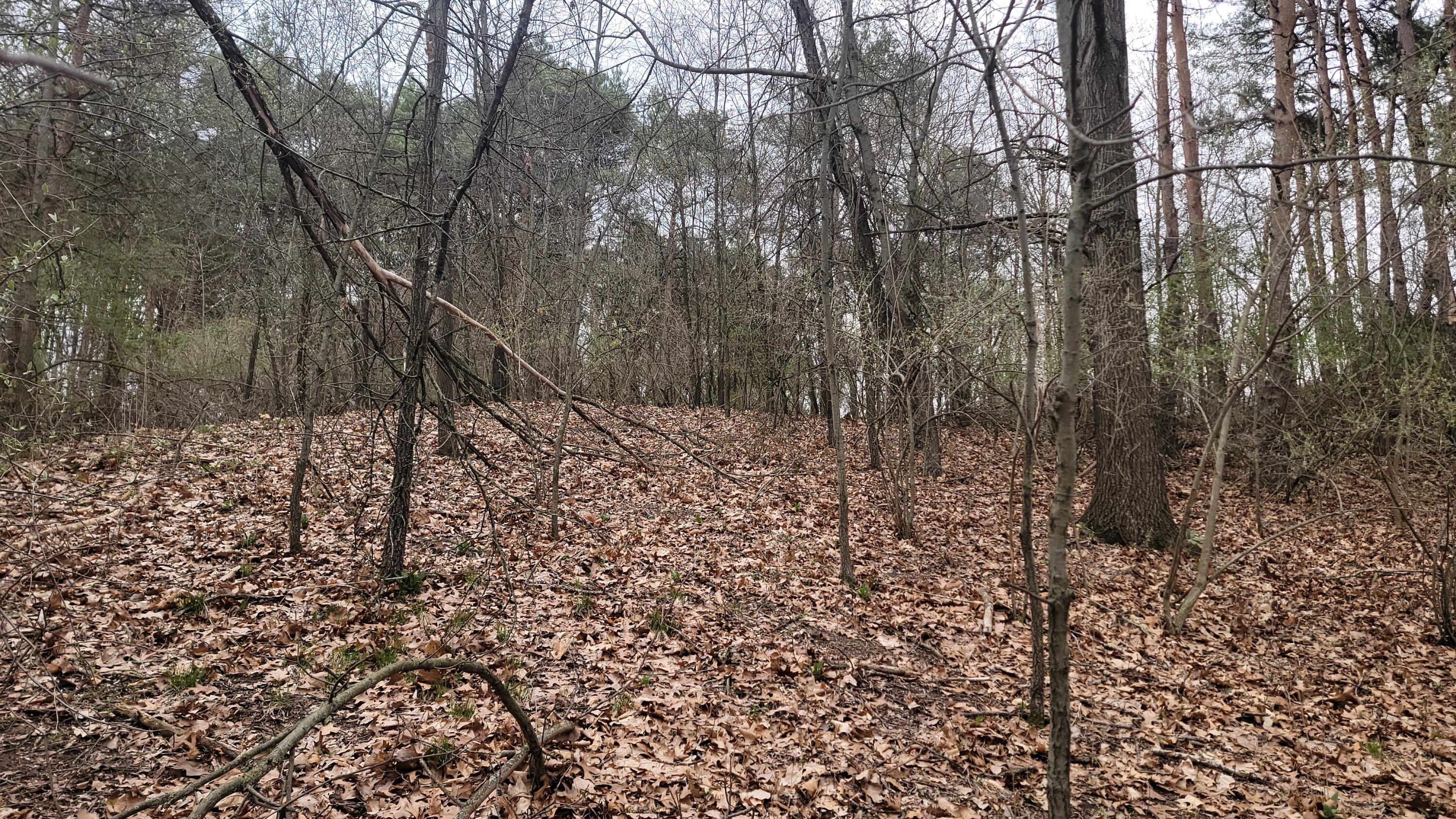 2180 Harwood Road Ionia, MI 48846 - Photo 17 of 27 20250421_170512