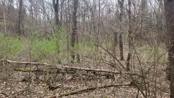 $199,900 | 2180 Harwood Road, Ionia, MI 48846