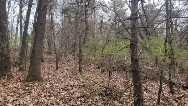 $199,900 | 2180 Harwood Road, Ionia, MI 48846