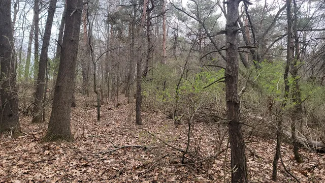 $199,900 | 2180 Harwood Road, Ionia, MI 48846