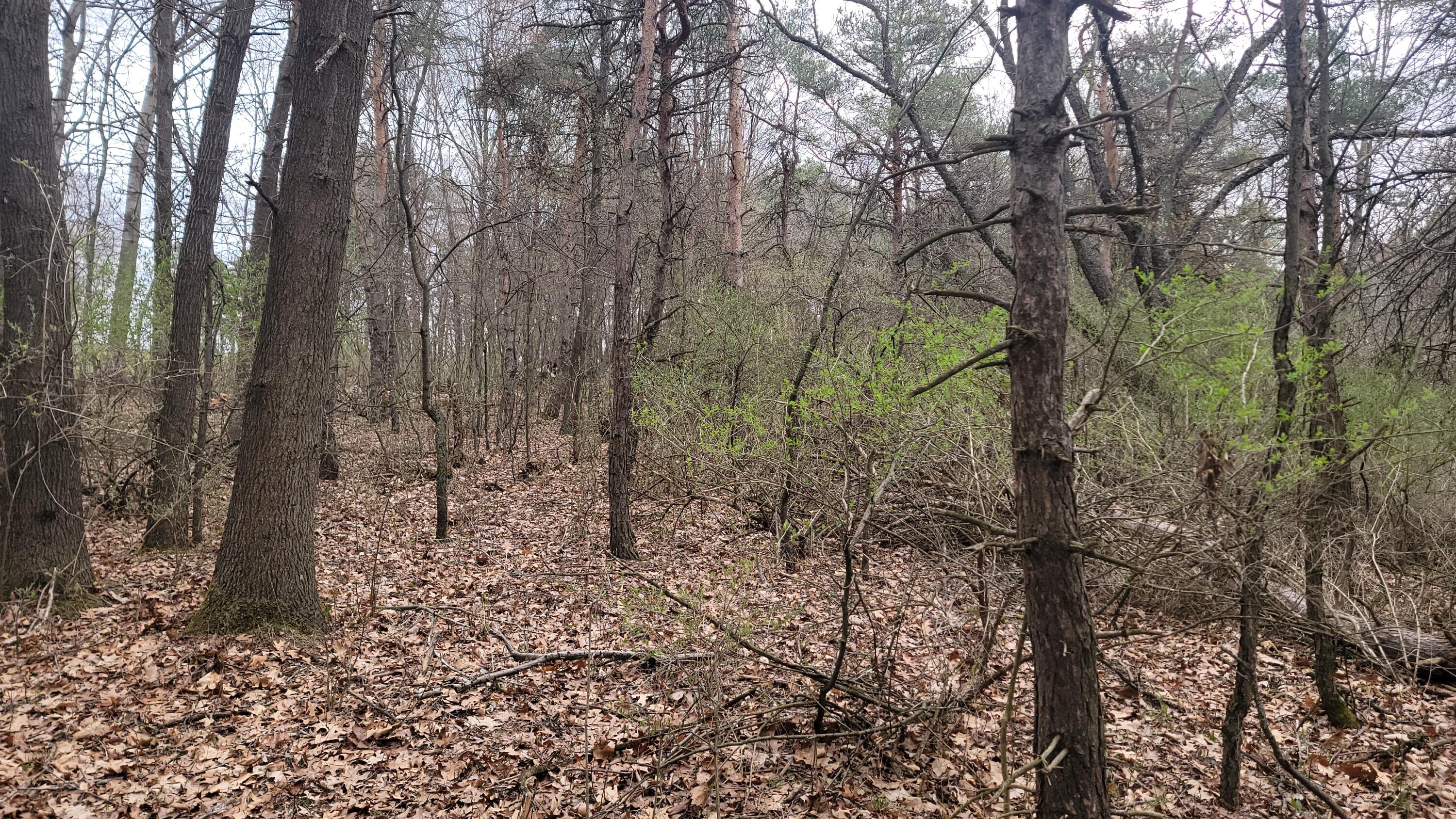 2180 Harwood Road Ionia, MI 48846 - Photo 20 of 27 20250421_170837