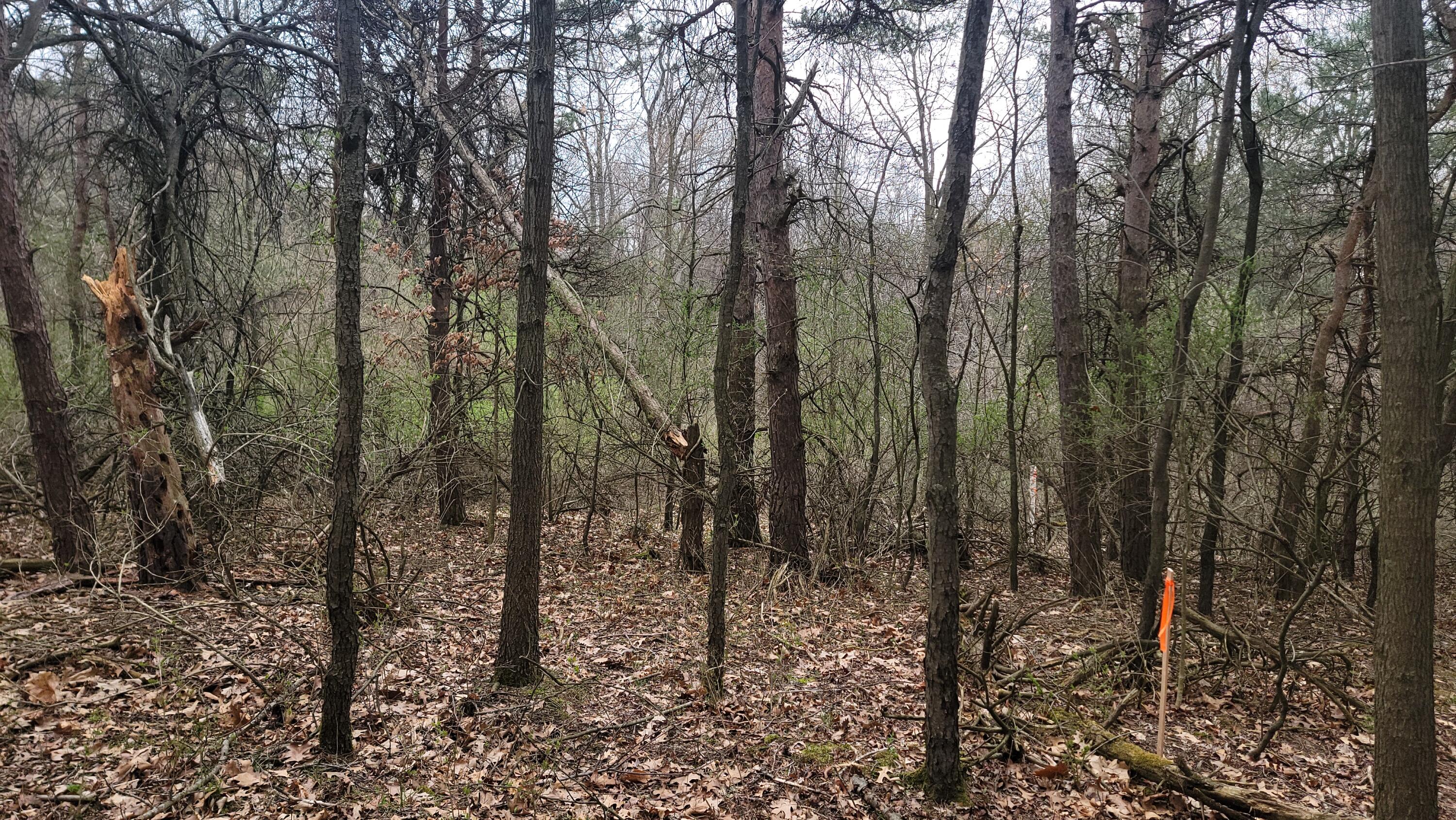 2180 Harwood Road Ionia, MI 48846 - Photo 21 of 27 20250421_170840