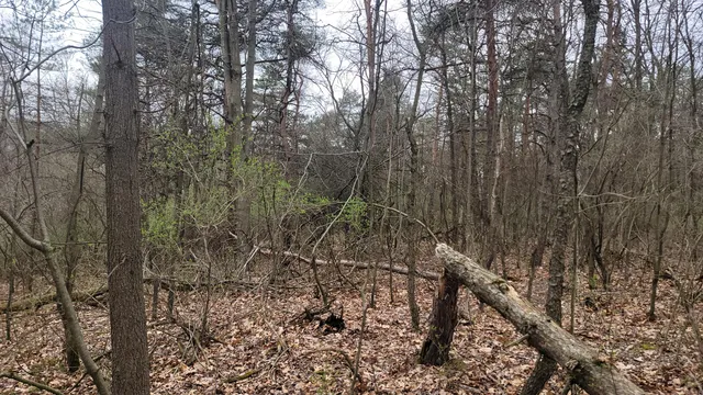 $199,900 | 2180 Harwood Road, Ionia, MI 48846