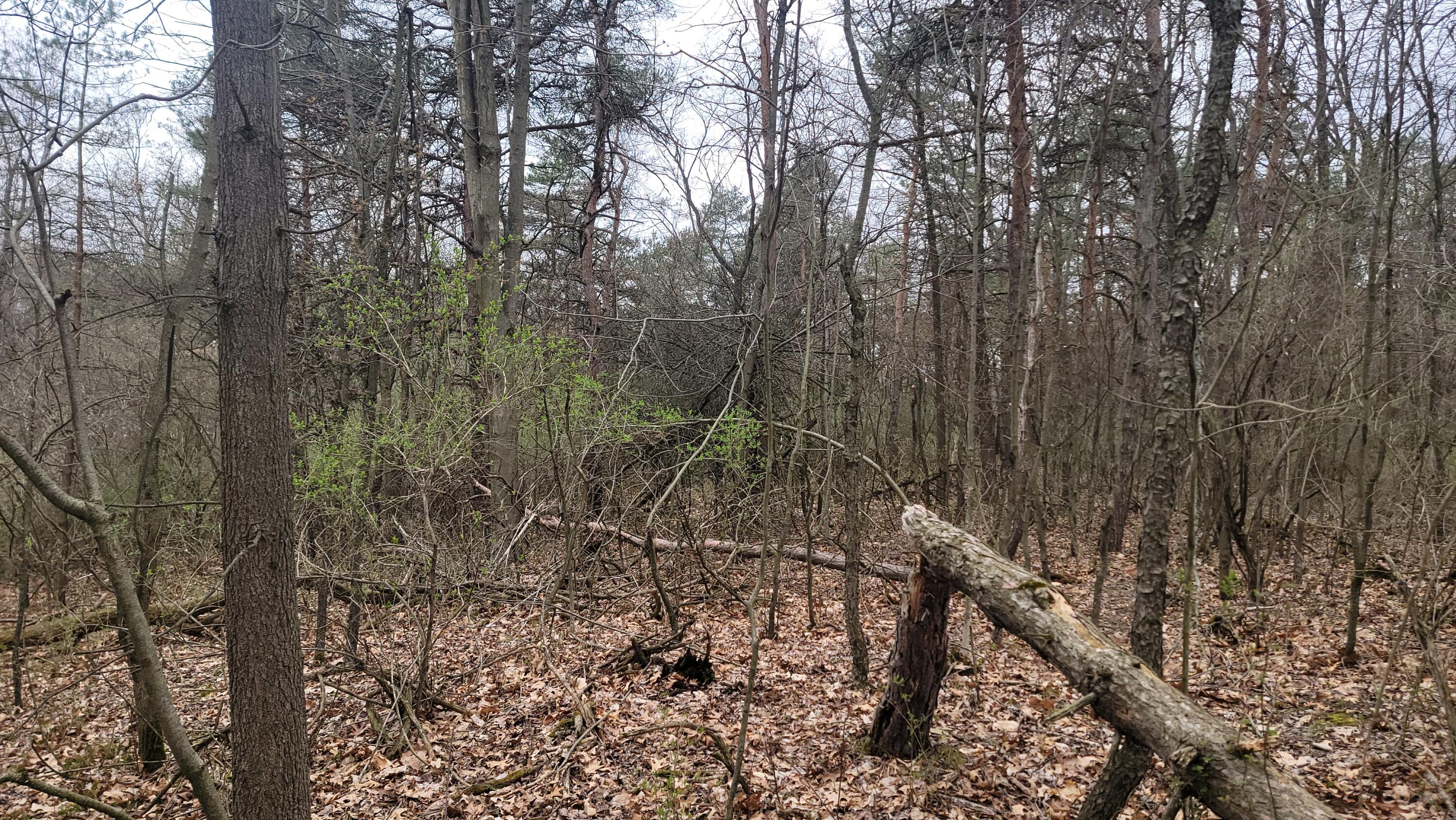 2180 Harwood Road Ionia, MI 48846 - Photo 22 of 27 20250421_171101