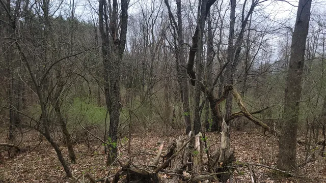 $199,900 | 2180 Harwood Road, Ionia, MI 48846