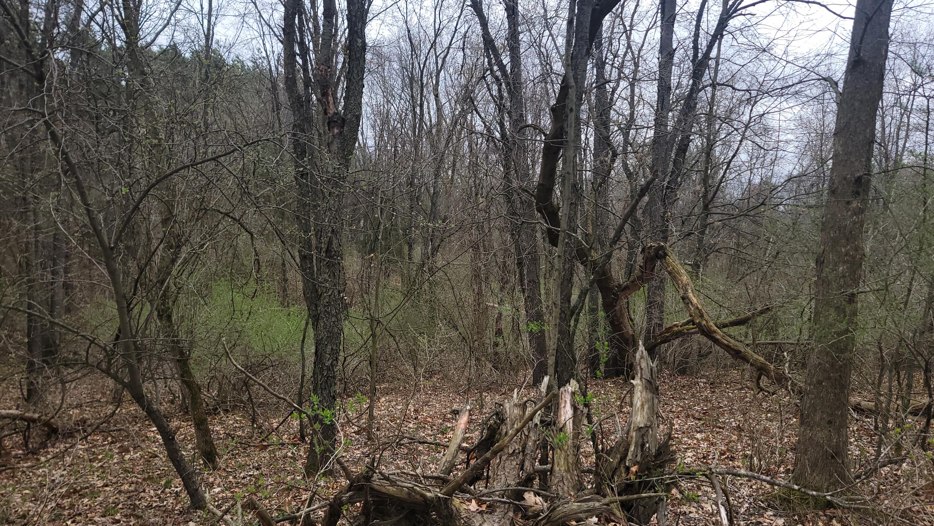 2180 Harwood Road Ionia, MI 48846 - Photo 23 of 27 20250421_171105