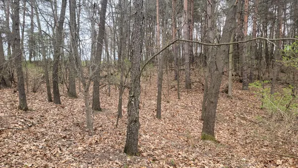 $199,900 | 2180 Harwood Road, Ionia, MI 48846