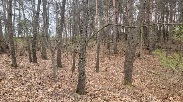 $199,900 | 2180 Harwood Road, Ionia, MI 48846