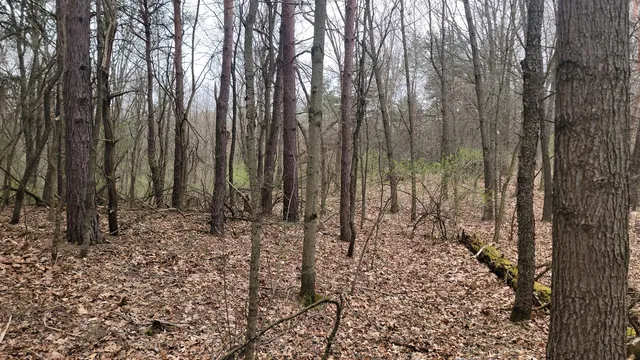 $199,900 | 2180 Harwood Road, Ionia, MI 48846