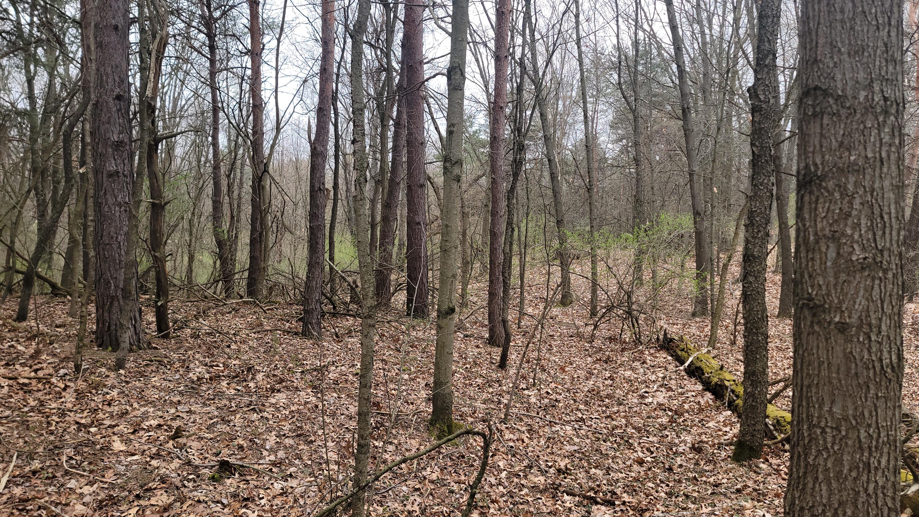 2180 Harwood Road Ionia, MI 48846 - Photo 25 of 27 20250421_171151