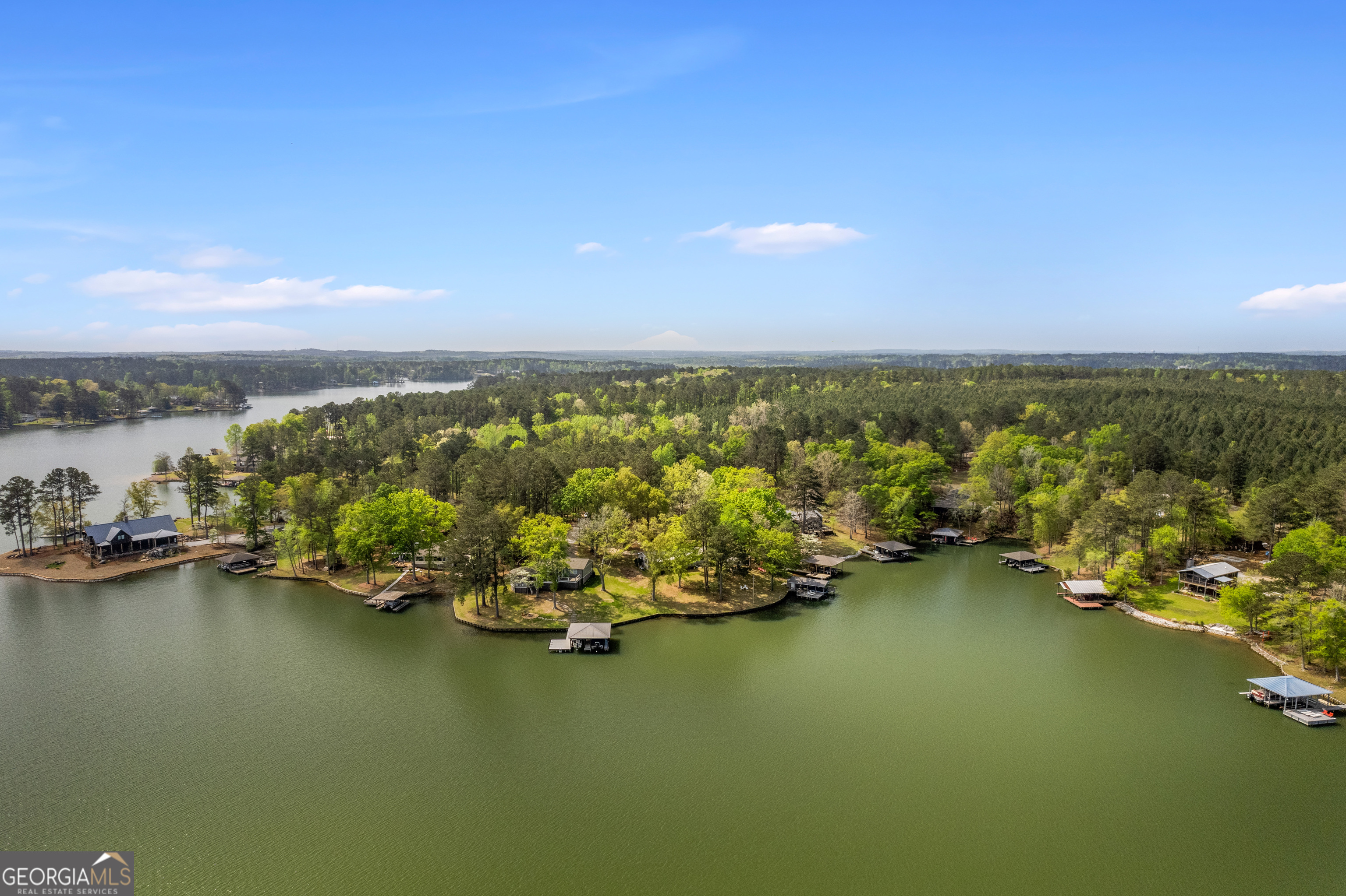 349 Lair Road Milledgeville, GA 31061 - Photo 13 of 65