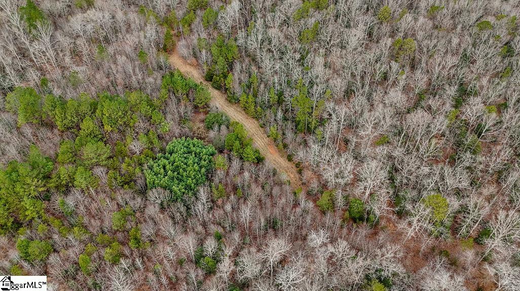 0 Painter Road Pelzer, SC 29669 - Photo 11 of 17