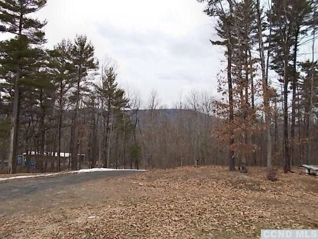 56 Grove School Road Catskill, NY 12414 - Photo 4 of 10 Photo 4