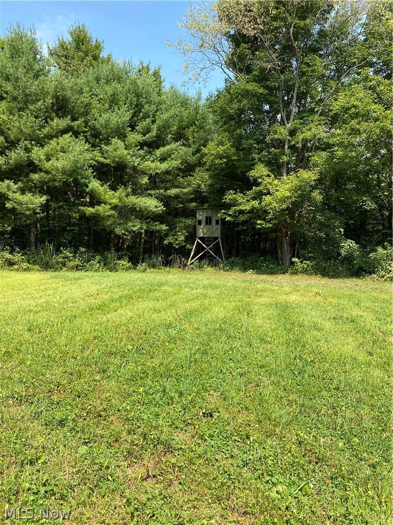 258 State Route Tippecanoe, OH 44699 - Photo 18 of 34 Gallery Image 18