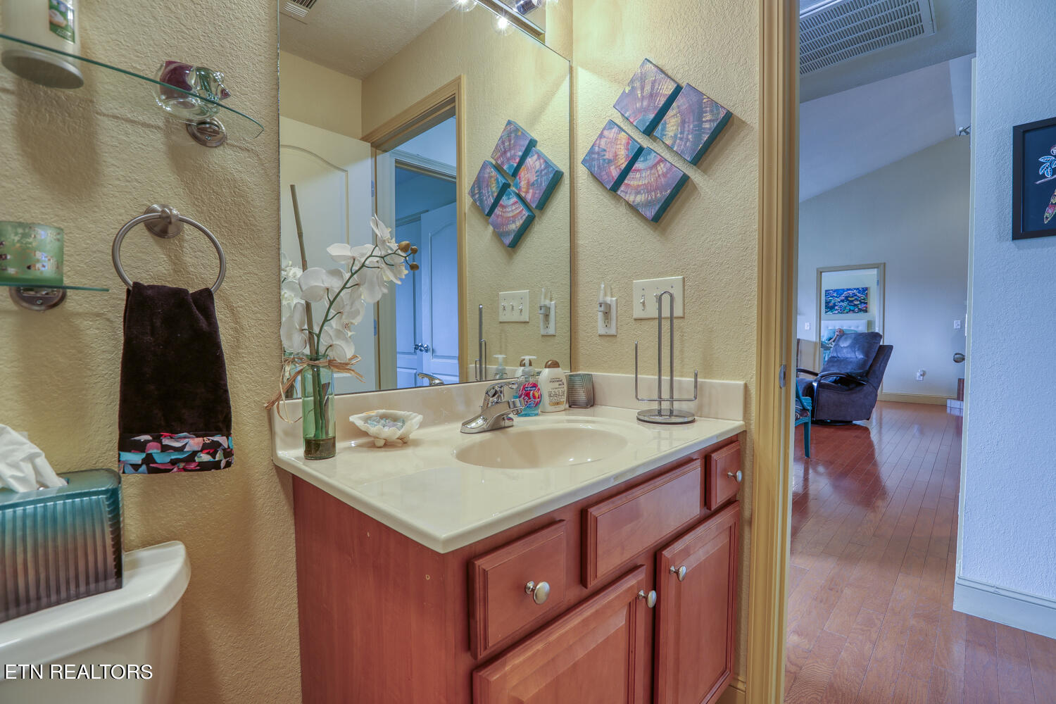2449 Oakview Lane Sevierville, TN 37876 - Photo 32 of 41 Hallway Full Bathroom 2