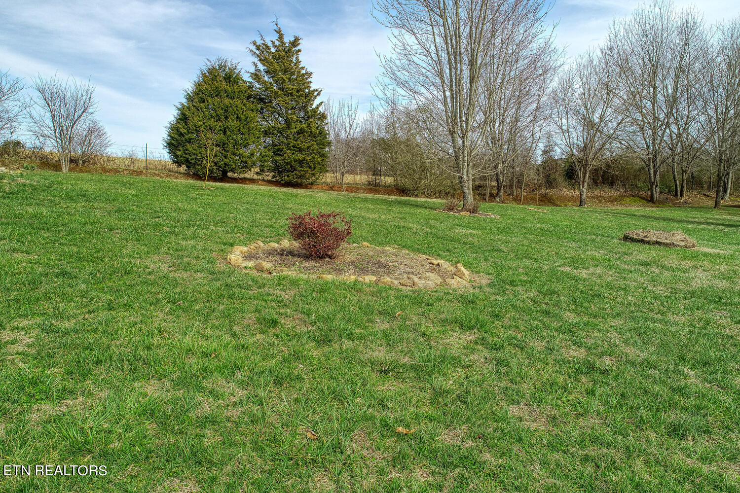 2449 Oakview Lane Sevierville, TN 37876 - Photo 39 of 41 .71 Acre Lot, Yard View_