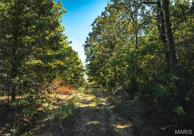 $87,000 | 15.65-acres Shilo Drive, Laquey, MO 65534