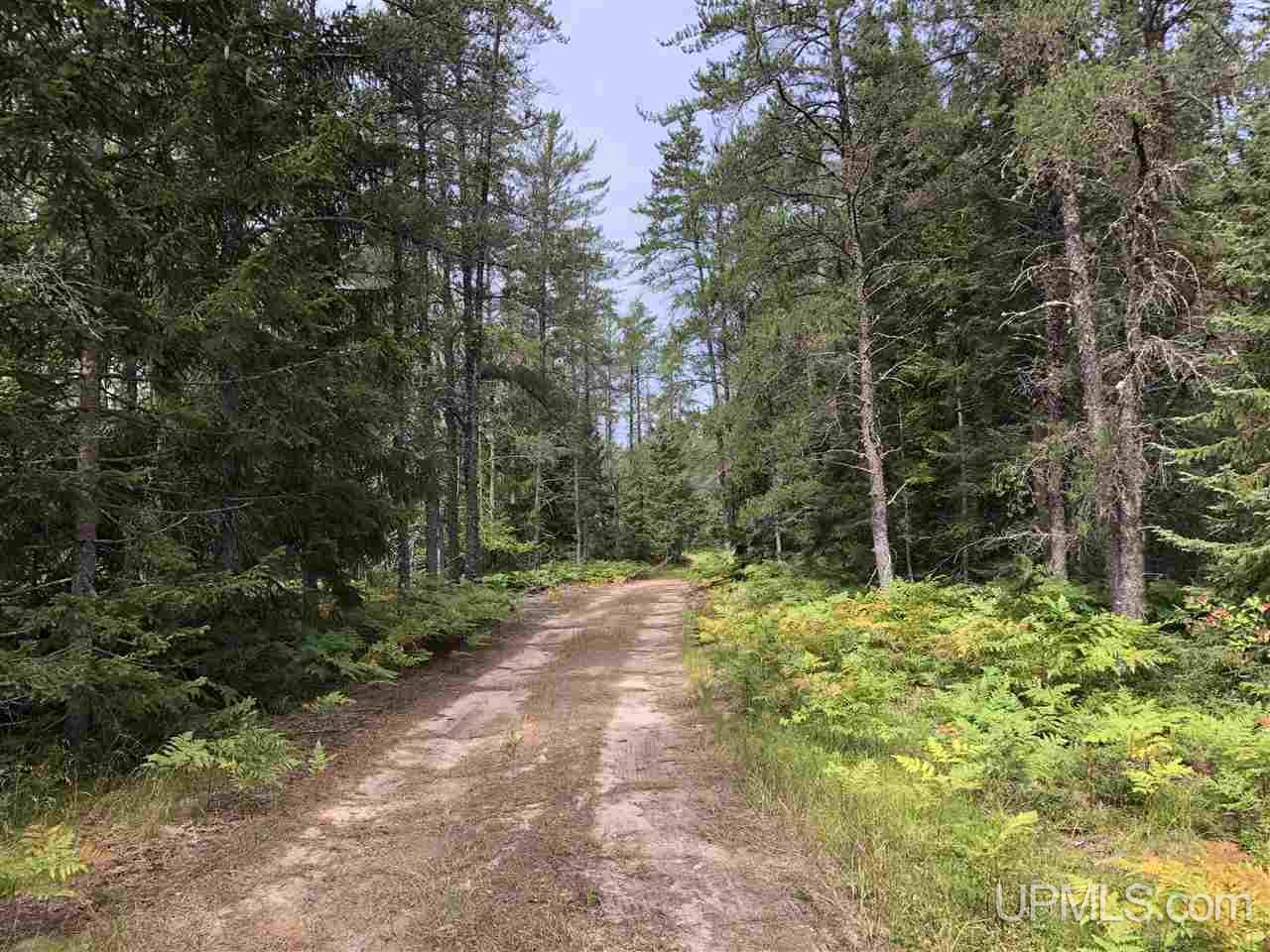 2207 West Co Road Seney, MI 49883 - Photo 30 of 32